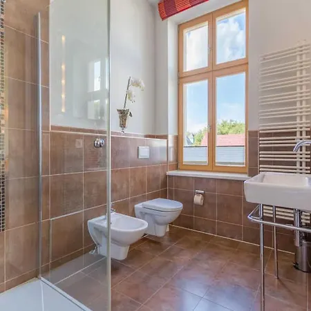 Julius App 6 Pop Art *